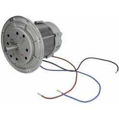 RIELLO Moteur De Ventilateur 250 W